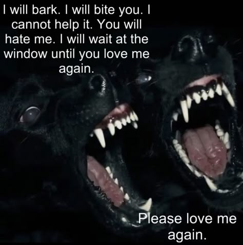 Bad Dog Quotes, Im Not A Violent Dog Idk Why I Bite, I’m Not A Violent Dog, Im Not A Violent Dog, Animal Poetry, Canine Poetry, Dog Poetry, I Will Wait, Please Love Me