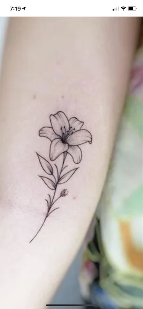 Small Tattoos Lily Flower, Lilly And Daisy Tattoo, Small Lily Flower Tattoo Simple, Lily And Stars Tattoo, Star Gazer Lilly Tattoos, Star Gazing Lily Tattoo, Lilys Aesthetic Flower Tattoo, Star Gazer Lily Tattoo, Lillies Tattoo