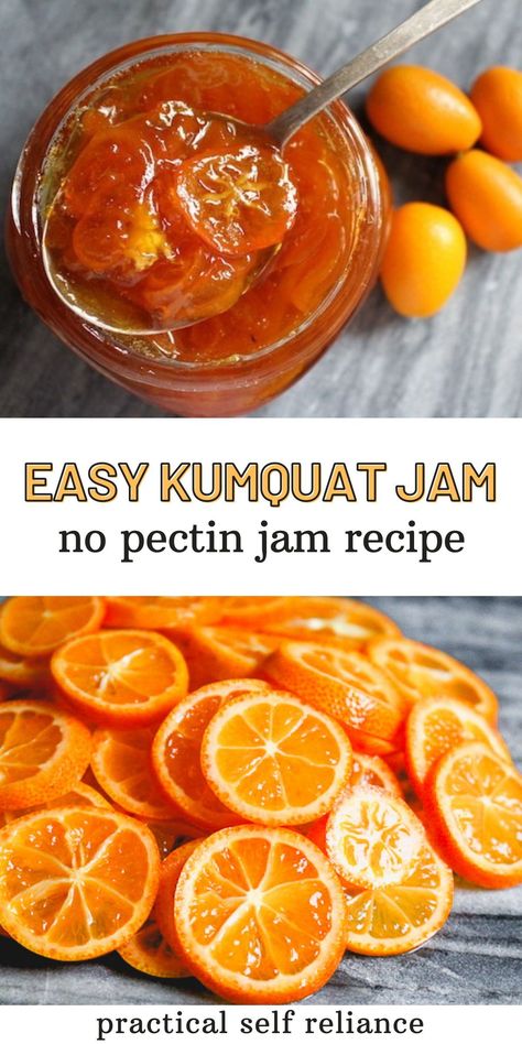 Easy Kumquat Jam: No Pectin Jam Recipe - This kumquat jam recipe is so simple to make in the winter when kumquats are in season. This 3 ingredient jam without pectin and is delightful and one of the best ways to preserve kumquat. Canning for beginners | homemade jam recipes | fruit jam recipe Cumquat Jam Recipe, Kumquat Jam Recipe, Comquat Recipe, Kumquats Recipes, Kumquat Recipes Easy, Cumquat Recipes, Marmelade Recipe, Kumquat Marmalade Recipes, Kumquat Jam