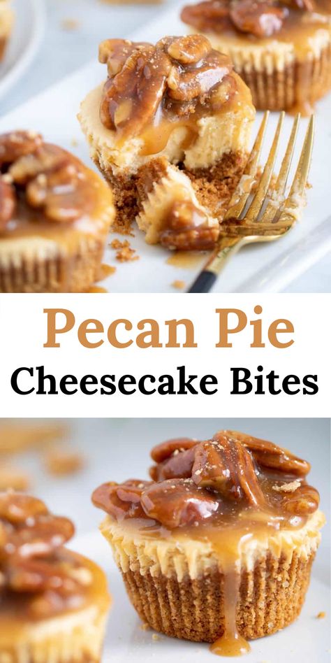 Delicious Pecan Pie Cheesecake Bites Desserts Bars Recipes, Mini Pecan Pie Cheesecake Recipe, Mini Pecan Cheesecake Bites, Pecan Pie Cheesecake Topping, Pecan Pie Mini Cheesecakes, Pecan Graham Cracker Crust, Cheesecake Recipes Bites, Pecan Pie Cheesecake Bites, Pecan Pie Cheesecake Recipe Easy