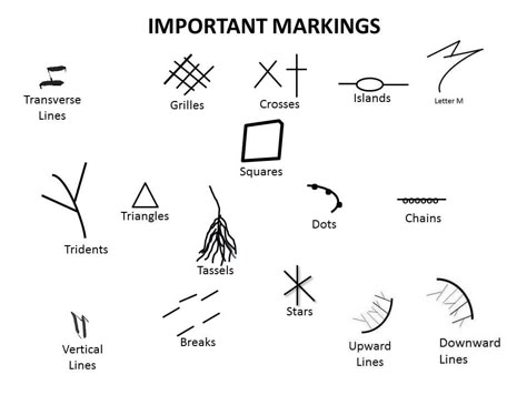 Hand Lines Meaning, Palm Reading Charts, Palmistry Reading, Palm Lines, Palm Reader, Reading Charts, Face Reading, Hand Lines, Hand Palm