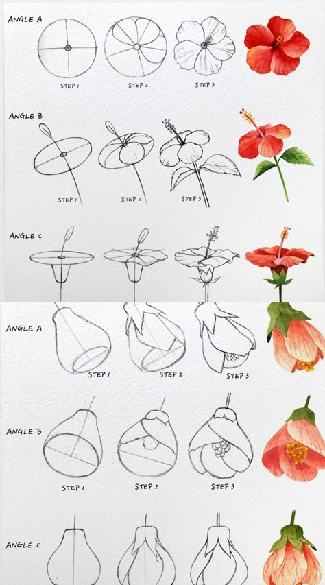 How to draw flowers step by step for beginners | how to draw hibiscus flowers in watercolor | how to draw flowers watercolor pencil | how to draw flowers realistic | drawing ideas | painting ideas | summer art | summer painting ideas | easy sketches #howtodraw #howtodrawflowers #artisthue Step By Step Flower Drawing Easy, Art Easy Drawing Ideas, Easy Sketches For Beginners Pencil Step By Step Drawing Tutorials, Violet Drawing Flower, How To Paint Flowers Watercolor, How To Draw Flowers Step By Step Simple, Watercolor Pencil Art Tutorials, Different Flowers Drawings, How To Draw Hibiscus Flower