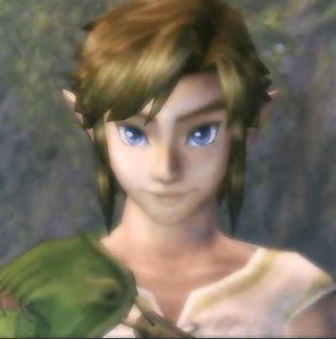 Tp Link Icon, Twilight Princess Link Pfp, Twilight Princess Pfp, Zelda Profile Picture, Twilight Princess Icon, Link Icon Zelda, Link Wallpapers, Link Pfp, Twilight Princess Link