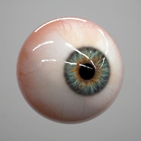 Eye Realistic, Eyeball Drawing, Human Eyeball, Realistic Eye, Eye Photography, Human Eye, Ap Art, Anatomy Art, Eye Art