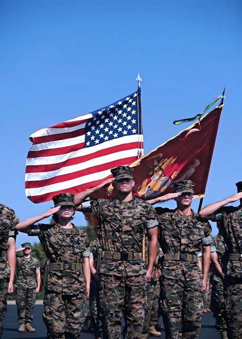 Us Marines Uniform, Us Army General, Marines Uniform, Military Salute, American Flag Pictures, Army Usa, Military Photography, Military Flag, Military Pictures