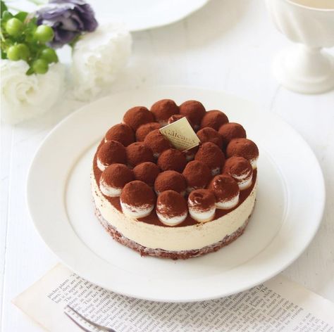 Tiramisu Cake Aesthetic, Mousse Cakes, Cakes Design, Dessert Box, Cake Cup, Korean Cake, Dessert Photography, Simple Cake Designs, Tiramisu Cake