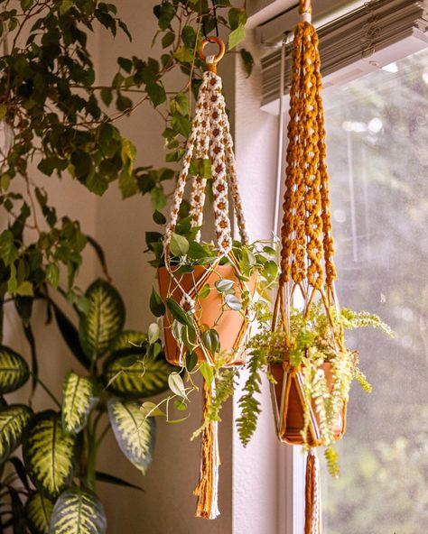 Daisy Chain Macrame, White Boho Decor, Macrame Plant Hanger Tutorial, Macrame Plant Hanger Patterns, Yellow Plants, Macrame Plant Holder, Orange Decor, Sewing Bee, Macrame Hanger