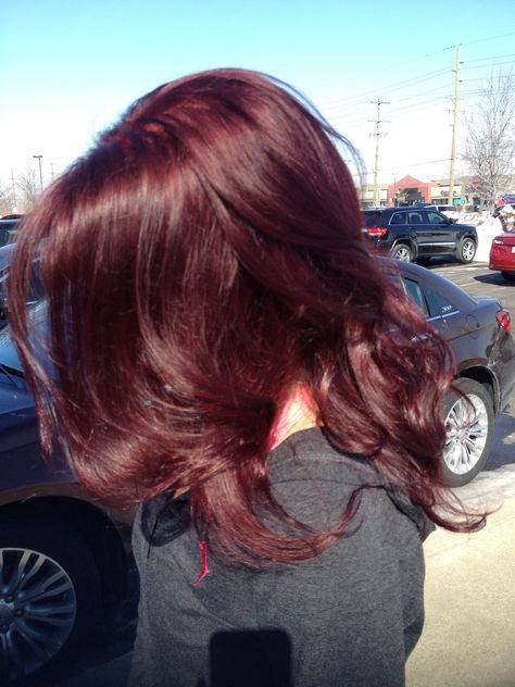 Red hair curls Vine Red Hair Colour, Short Hair Dark Red, Dark Red Hair On Curly Hair, Hair Inspo Color Red, Dark Red Hair Aesthetic, Red Hair Cherry, Red Dyed Hair, Red Wine Hair, Hair Claims