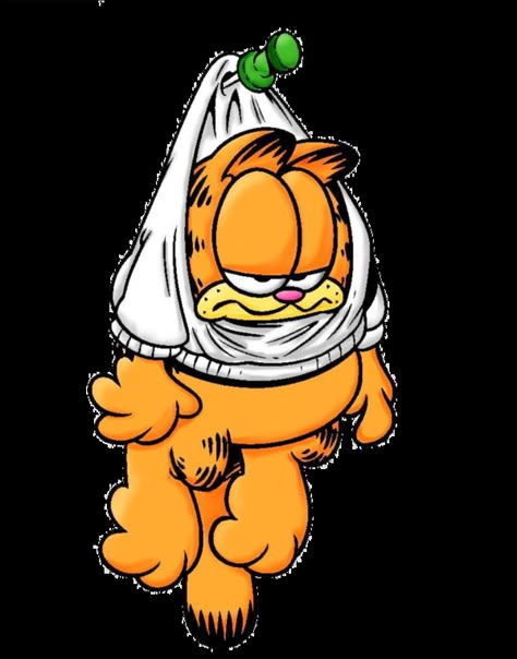 Garfield The Cat, Wall Picture, Orange Cat, The Wall, Orange, Wall, White