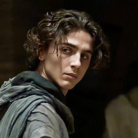 Timothee Chalamet Paul Atreides, Timothy Chalamet Dune, Paul Atreides Pfp, Dune Pfp, Paul Atreides Fanart, Paul Atreides Icon, Paul Dune, Dune Timothee Chalamet, Dune Timothee