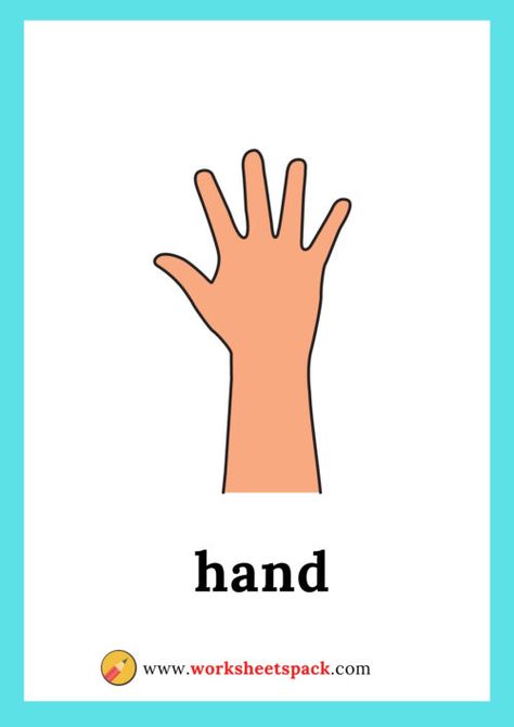 Body Parts For Kids Free Printable, Printable Flash Cards Preschool, Parts Of The Body For Kids, Learning Body Parts Toddlers, Sense Organs Worksheets For Kindergarten, Body Parts Flashcards Free Printable, Occupation Flashcards, Parts Of The Body In English, Picture Of Body Parts