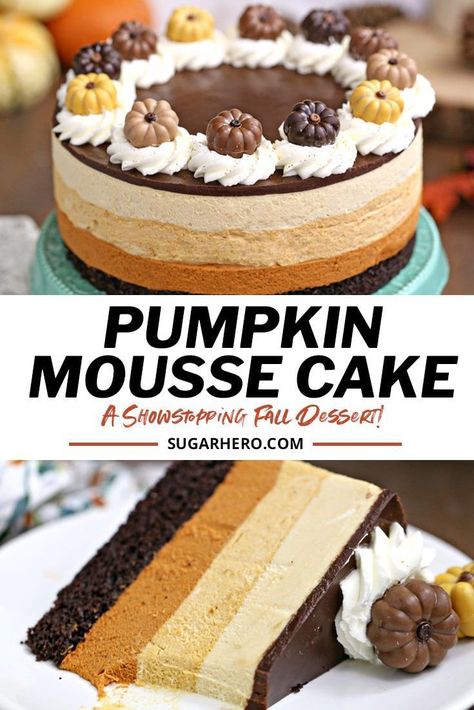 Aug 16, 2020 - Pumpkin Chocolate Mousse Cake - a stunning 4-layer dessert with chocolate cake, cinnamon mousse, pumpkin-butterscotch mousse, and salted caramel mousse! | From SugarHero.com Pumpkin Chocolate Mousse, Pumpkin Mousse Cake, Salted Caramel Mousse, Dessert With Chocolate, Butterscotch Caramel, Cake Cinnamon, Caramel Mousse, Pumpkin Mousse, Pumpkin Recipes Dessert