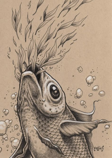 Beautiful Ink Drawings, Pen Ink Illustrations, Koi Fish Ink Drawing, Ocean Ink Drawing, Koi Fish Pen Drawing, Koi Art Drawing, Sea Life Sketches, Fish Pen Drawing, Realistic Fish Drawing