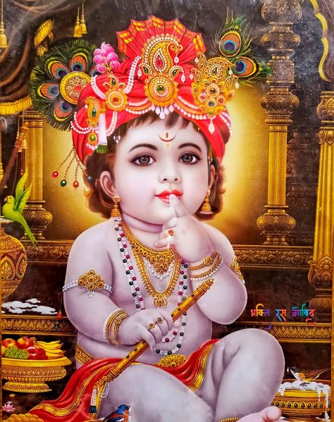 Krishna Photos Hd, Little Kanha Ji Images, God Pics, Ganesh Art Paintings, Bal Gopal, Shree Krishna Wallpapers, Happy Navratri Images, Lord Hanuman Wallpapers, Little Krishna