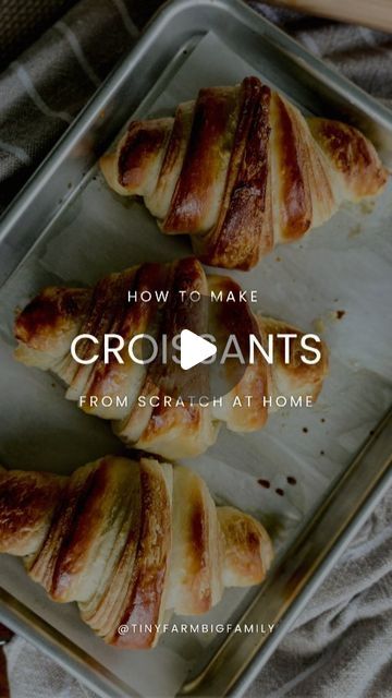 Heather | Homesteader - Baking - Recipes on Instagram: "My popular croissant recipe! 

These homemade croissants will become a go-to for your family.  Is there a better way to eat croissants  than by making them from scratch? 

A delicious buttery and flaky dough that is undeniably tasty, you won't repurchase the store version. Plus, add a little chocolate in the middle with a chocolate drizzle and a lovely dessert 🥐

Please give them a go and make them yourself from scratch. 

With this step-by-step recipe, you will get 8 BIG FLAKEY croissants. These don't last long at the table! 

Comment CROISSANTS to get the info for the recipe dropped in your DMs. This exclusive recipe can only be found in Rise to the Occasions ebook. 

*This is an instant message to your messages.

.
.
**When you pu Everyday Bread Recipe, Banana Nut Scones, Hot Dog Buns Recipe, Best Homemade Bread Recipe, Homemade Croissants, Homemade Pasta Recipe, Granola Recipe Homemade, Homemade Sandwich, Croissant Recipe