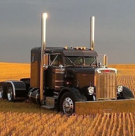 Custom Big Rig, Peterbilt 359, Custom Big Rigs, Western Star, Show Trucks, Peterbilt Trucks, Big Rig Trucks, Big Rigs, A Truck