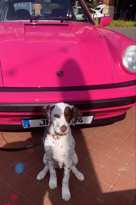 Pink Dalmatian, Library Nook, Pink Porsche, Dalmatian, Flower Shop, Nook, Porsche, Puppies, Dogs