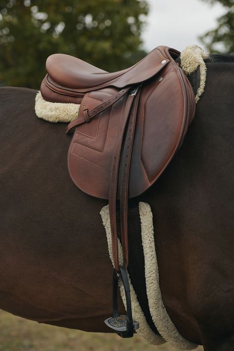 saddle on horse Rodeo Art, Luxury Equestrian, Horses Riding, English Saddle, Bathroom Pictures, Horse Saddles, Shoot Ideas, Horse Riding, Art Project