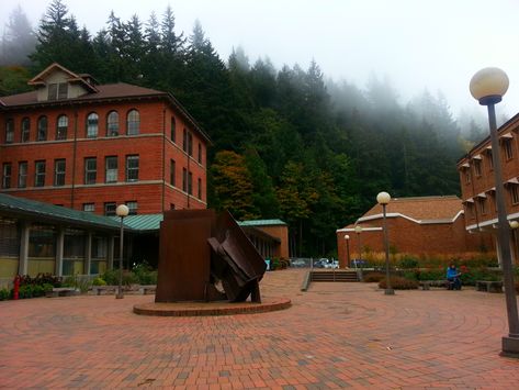 The WWU campus looking very PNW. Bellingham, WA. Western Washington University, Bellingham Washington, Washington University, Western Washington, Bellingham Wa, Washington State, Pacific Northwest, North West, Small Towns