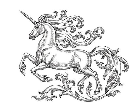 3,820 Vintage Unicorn Illustration Illustrations & Clip Art - iStock Vintage Unicorn, Mythological Animals, Unicorn Painting, Unicorn Tattoos, Unicorn Graphic, Unicorn Drawing, Unicorn Illustration, Tattoo Style Drawings, 1 Tattoo