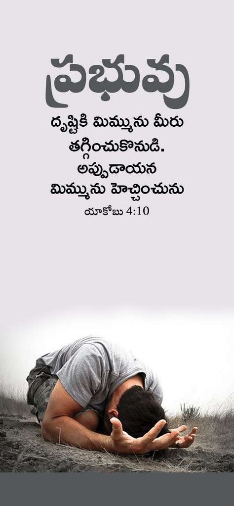 Bible Quotes About Faith, Sunday Worship, Lions Photos, Bible Verse Pictures, Morning Nature, Bible Quotes Telugu, Bible Words Images, Good Morning Nature, Quotes Telugu