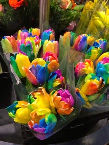 Rainbow Tulips Rainbow Tulips, Rainbow Flowers Aesthetic, Rasta Parrot Tulip, Rainbow Roses Aesthetic, Rainbow Colored Flower, Home Flower Arrangements, Circle Loom, Rainbow Springs, Flower Store