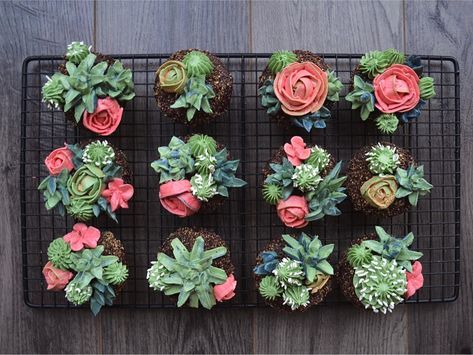 How to Make Succulent Cupcakes! – ally bakes Plant Cupcakes, Easy Chocolate Cupcake Recipe, Chocolate Cupcakes Recipe, Succulent Theme, Succulent Cupcakes, Pastry Cream Recipe, Blooming Succulents, Frosting Techniques, Buttercream Roses