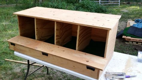 Sloped Nesting Boxes, Roll Out Nesting Boxes For Chickens, Chicken Nest Boxes Diy, Roll Out Chicken Nesting Boxes Diy, Chicken Brooding Box Ideas, Egg Roll Out Nesting Box Diy, Diy Rollaway Nesting Boxes, Roll Out Nesting Boxes Diy, Hen Nesting Boxes Diy