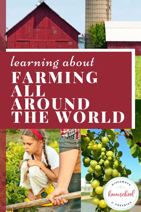 Learning About Farming All Around the World - Homeschool Giveaways Farm Unit Study, Farm Jokes, Farm Coloring Pages, Farm Unit, Farm Preschool, Farm School, Homeschool Freebies, Farm Activities, Homeschool Elementary