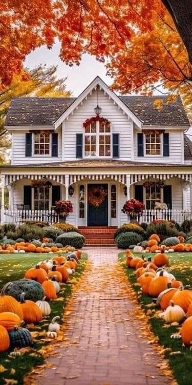 Fall House Exterior, Fall Houses, Fall Houses Exterior, Fall Cozy Home, Fall Porch Decor Ideas, Fall House, Fall Cottage, Fall Porch Decor, Crafts Fall