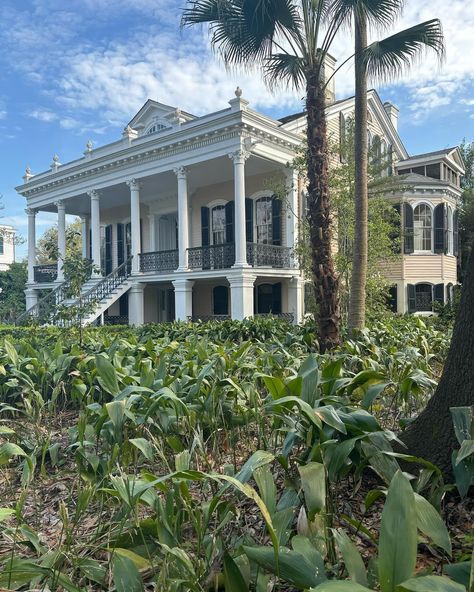 Louisiana Swamp House, Romantic Buildings, Bayou Aesthetic, New Orleans Witch, Swamp House, Louisiana Swamp, New Orleans Homes, Willow Creek, Big Easy