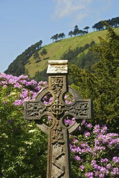 Emerald Isle Ireland, Planet Images, Celtic Tiger, Celtic Christianity, Catholic Aesthetic, Ireland Aesthetic, Planets Images, Stained Glass Windows Church, Horse Skull