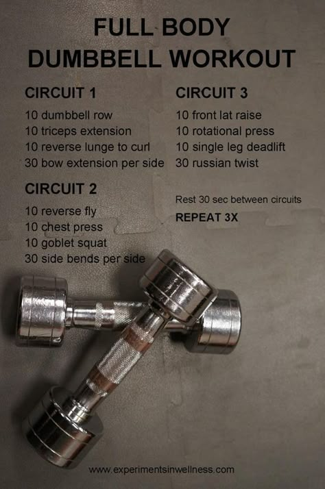 Combo Dumbbell Workout, Full Body Workout With Dumbbells, Workout Circuit, Full Body Dumbbell, Workout With Dumbbells, Dumbbell Workouts, Workout Hiit, Full Body Dumbbell Workout, Dumbell Workout