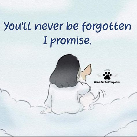 Losing A Pet Quotes, Dog Heaven Quotes, Love Parents Quotes, Miss My Dog, Pet Quotes, Dog Quotes Love, Dog Heaven, Dog Essentials, Wire Fox Terrier