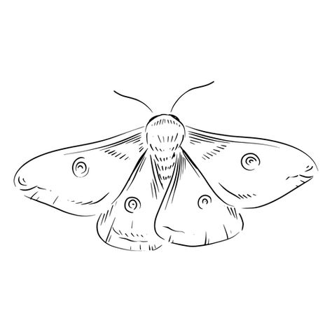 Moth Drawings Simple, Moth Tattoo Line Art, 3 Moth Tattoo, Moth Doodle Simple, Moth Sketch Simple, Luna Moth Drawing Simple, Small Moth Tattoo Simple, Easy Moth Drawing, Simple Moth Tattoo Outline