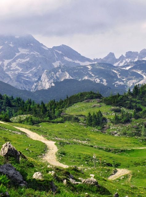 Slovenia Alps, Slovenia Hiking, Wine History, Eastern Europe Travel, Plitvice Lakes, History Architecture, Green Landscape, Life Is A Journey, Central Europe