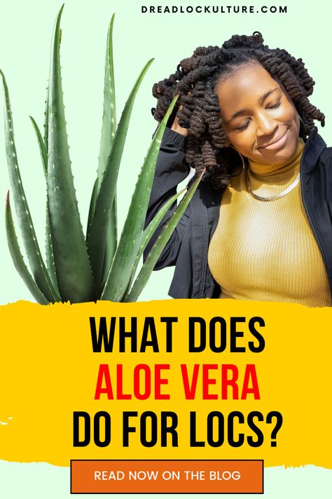 In this article, you’ll learn all about aloe vera, the way it can be used for your dreadlocks and scalp, and we’ll answer some FAQ’s! Aloe Vera For Locs, How To Grow Dreadlocks, How To Do Dreadlocks, Black Hairstyles Sew In, Short Curly Hair Hairstyles, Diamond Shaped Face, Loc Products, Aloe Vera Juice Benefits, How To Make Dreadlocks