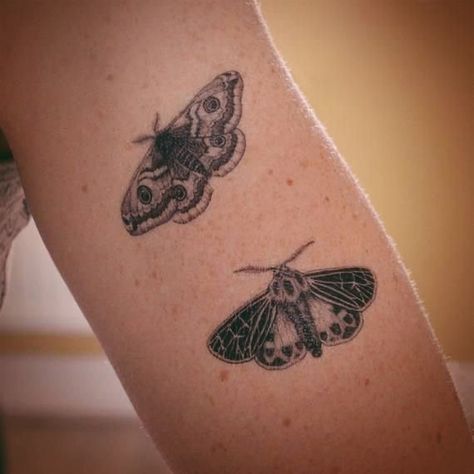 Emperor Moth, Moths And Butterflies, Art Papillon, Yakuza Tattoo, Tiger Moth, Moth Art, Moth Tattoo, Stomach Tattoos, Temp Tattoo