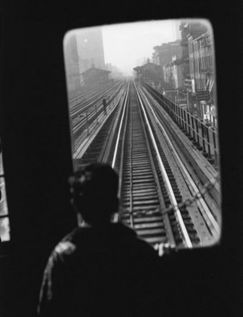 Vintage Photographs of NYC Daily Life in 1955 Elliott Erwitt Photography, Photos Black And White, Elliott Erwitt, Steve Mccurry, Black And White Photograph, Looking Out The Window, Documentary Photographers, Magnum Photos, Foto Art