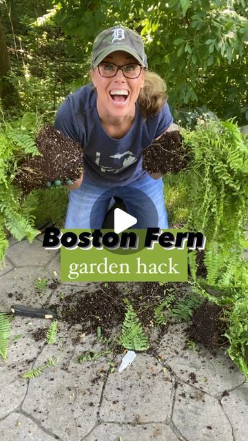 Hooks For Hanging Baskets, Boston Fern Planter Ideas, Potted Ferns Front Porches, Fern Planters, Garden Hack, Garden Tricks, Smash Mouth, Fern Plants, Hanging Ferns