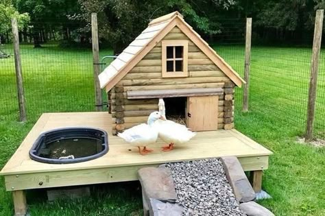 Duck Enrichment, Duck House Plans, Duck Pens, Backyard Ducks, Duck Coop, Backyard Chicken Farming, Coop Design, Duck House, Chicken Coop Designs