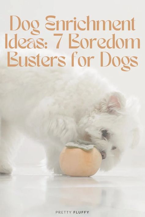 Keep your pup entertained for hours with these boredom busters for dogs! Whether it's a homemade kong or a tasty peanut butter toy, these dog enrichment games and DIY dog puzzle toys are sure to keep tails wagging. #dogenrichmentideas #dogpuzzletoys #diydogpuzzles Dog Puzzles Diy, Diy Dog Puzzles, Dog Boredom Busters Diy, Diy Puppy Toys, Dog Enrichment Ideas, Stimulating Dog Toys, Dog Boredom Buster, Dog Boredom, Kong Dog Toys