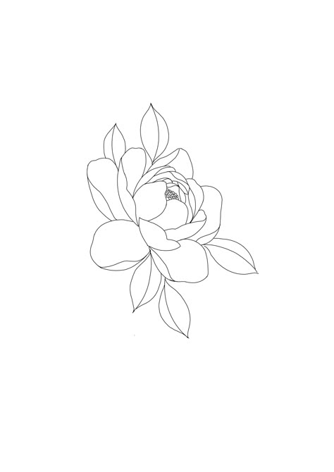 Single Line Magnolia Tattoo, Gardenia Flower Outline, Peonies Fine Line Tattoo, Peony Line Drawing Simple, Magnolia Tattoo Small Simple, Gardenia Fine Line Tattoo, Gardenia Line Art, Gardinia Tattoo Simple, Fine Line Magnolia Flower Tattoo