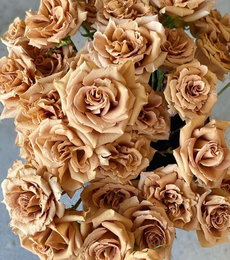 Is the Toffee Rose the Most Popular Brown Rose? - Article on Thursd Brown Wedding Florals, Toffee Rose Bouquet, Butterscotch Rose, Toffee Wedding, Brown And White Flowers, Tan Roses, Toffee Rose, Toffee Roses, Brown Roses