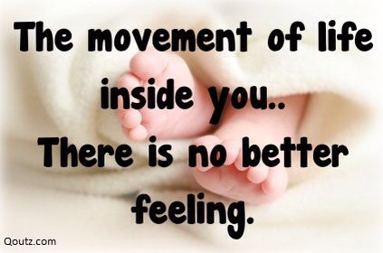 There is no better feeling than feeling the life you created move inside you Pregnant Quotes, Baby Kick, Truth Ideas, Girls Sister, Baby Kicking, Pregnancy Quotes, Weeks Pregnant, Everything Baby, Pregnancy Week By Week