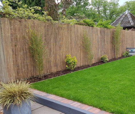 Bamboo Privacy Screen Outdoor, Reed Fencing Ideas, Yard Divider Ideas, Cheap Privacy Fence Ideas, Garden Screening Ideas, Bamboo Screening Fence, Backyard Privacy Fence, Privacy Screen Ideas, Cheap Privacy Fence