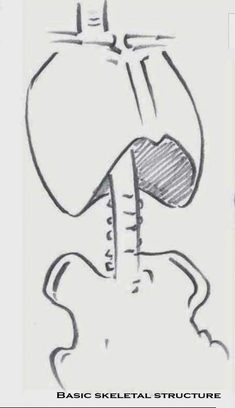 Malnourished Body Reference, Drawing Lessons For Beginners, Basic Drawing Techniques, Human Cadaver, Drawing Dead, Basic Drawing For Kids, Human Body Structure, Throbbing Headache, Draw Faces