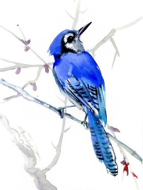 Buy Blue Jay, Watercolor by Suren Nersisyan on Artfinder. Discover thousands of other original paintings, prints, sculptures and photography from independent artists. Watercolor Blue Jay, Blue Jay Art, Bluebird Watercolor, Suren Nersisyan, Bird Painting Acrylic, Bird Watercolor Paintings, Watercolor Birds, Bird Watercolor, Original Watercolor Art