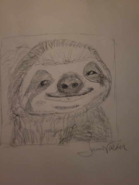 Sloth Sketch Simple, Easy Sloth Drawing, How To Draw A Sloth, Sloths Drawing, Sloth Drawings, Cute Sloth Drawing, Sloth Sketch, Sloth Doodle, Mixed Media Sketchbook