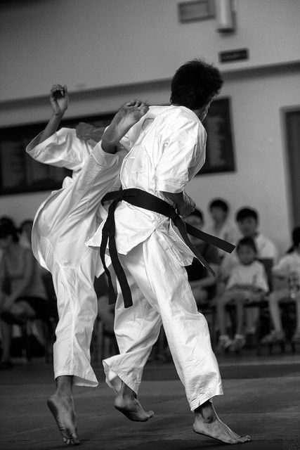 Karate Photos, Karate Tournament, Martial Arts Sparring, Kyokushin Karate, Traditional Martial Arts, Female Martial Artists, Karate Martial Arts, Martial Arts Movies, Martial Arts Girl